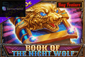 Book Of The Night Wolf